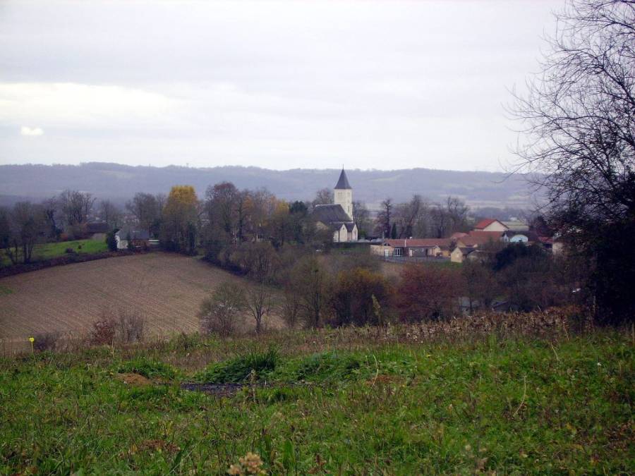 imgp0237.jpg
